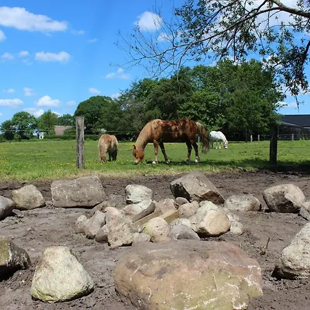 Hedegaard בית נופש *